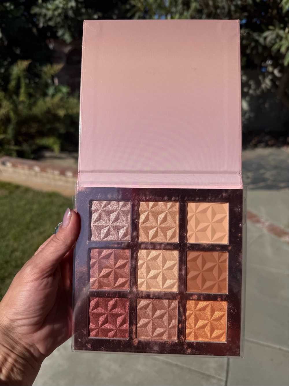 Neutral & Warm Shimmer blush Palette - Pink Case
